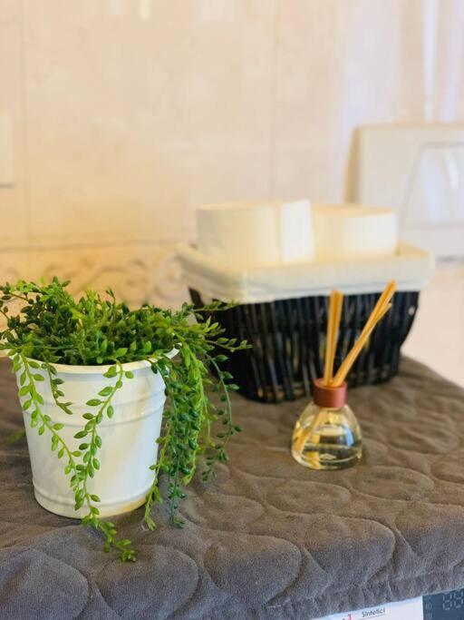 Apartament Benvenuti In Casa Peluca! Mestre Zewnętrze zdjęcie