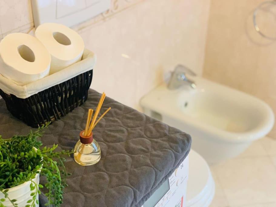 Apartament Benvenuti In Casa Peluca! Mestre Zewnętrze zdjęcie